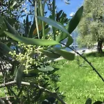 Comolakehome A Due Passi Dal ديرفيو