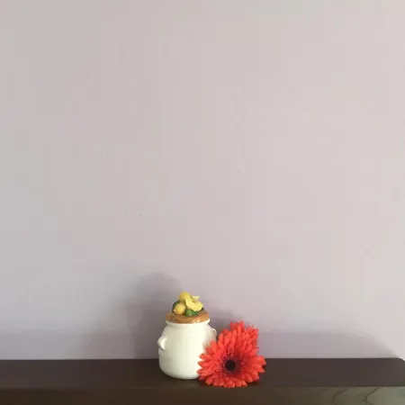 Comolakehome A Due Passi Dal ديرفيو