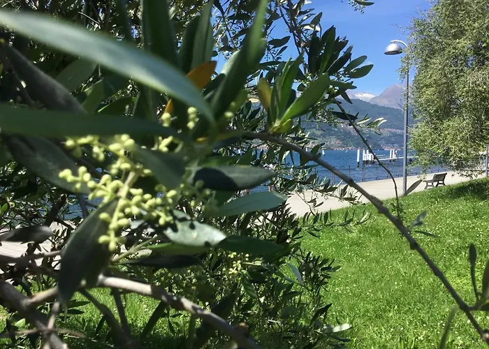 Appartement Comolakehome A Due Passi Dal *